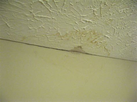 ceiling leaking apartment|How to Handle Your Apartment Ceiling Leak